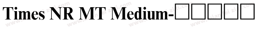 Times NR MT Medium字体转换